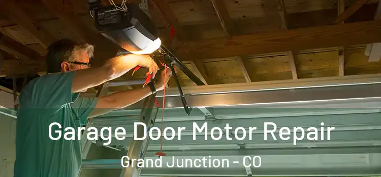  Garage Door Motor Repair Grand Junction - CO