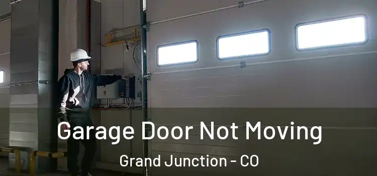 Garage Door Not Moving Grand Junction - CO