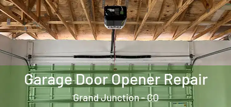  Garage Door Opener Repair Grand Junction - CO