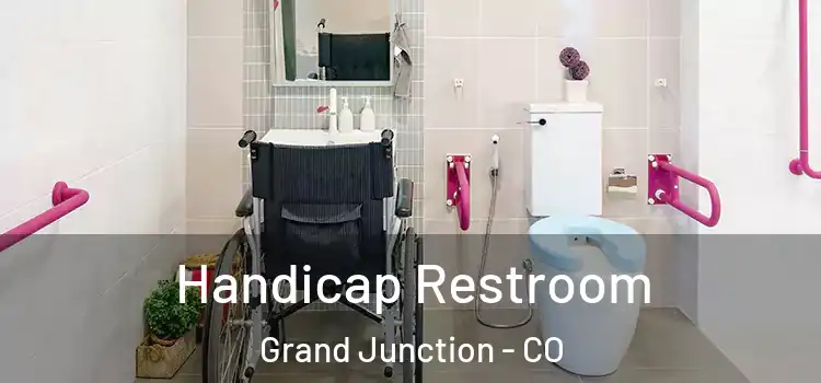 Handicap Restroom Grand Junction - CO