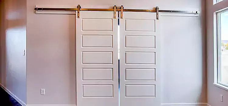 Glass Barn Door with Installation Hardware Kit Grand Junction