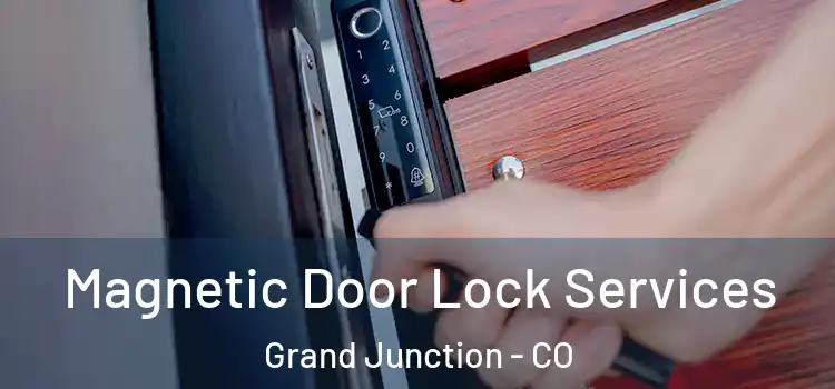 Magnetic Door Lock Services Grand Junction - CO