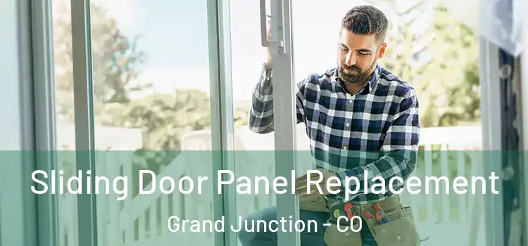  Sliding Door Panel Replacement Grand Junction - CO